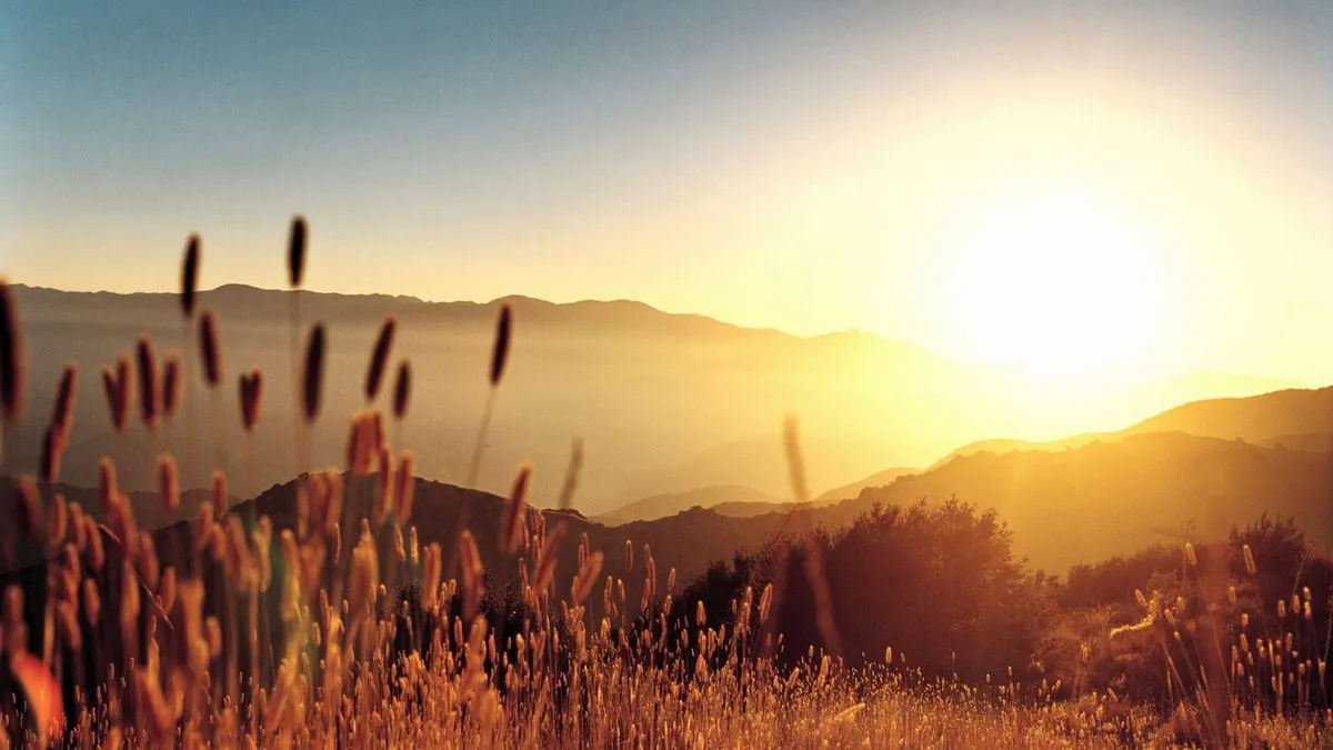 Coucher de soleil serein sur les montagnes et champ de graminées